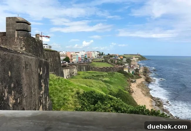 Empowering Puerto Rico's Future 2 Aerial view of widespread hurricane devastation in Puerto Rico, showing damaged homes and debris
