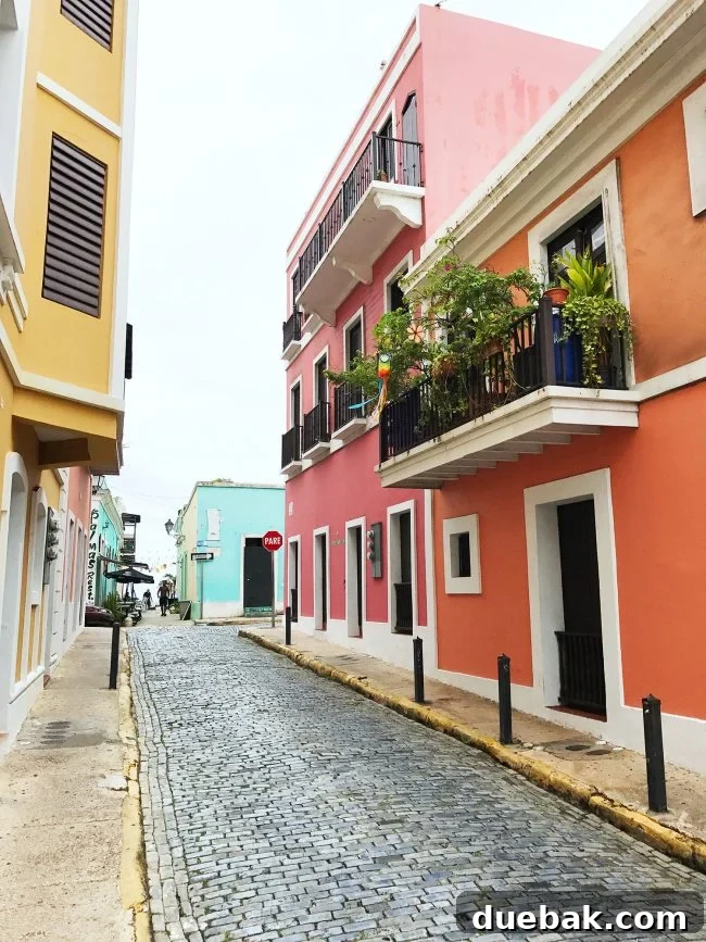 Empowering Puerto Rico's Future 3 Devastated street scene in Puerto Rico after Hurricane Maria, showing downed power lines and debris