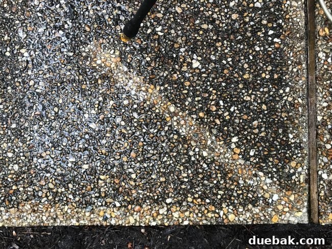 Stone aggregate walkway showing a clean stripe after pressure washing