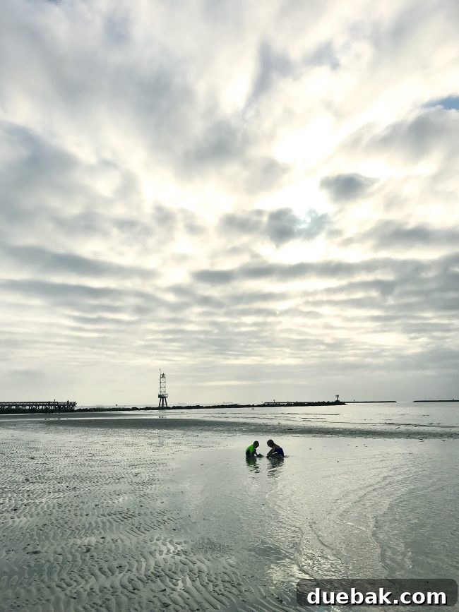 Family swimming at the beach in November