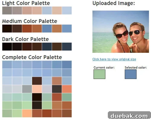 Florida Vacation Color Palette Generator - Tropical Hues for Lively Home Decor