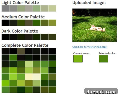 Burger the Dog Backyard Color Palette - Earthy Tones and Greens for Cozy Interiors