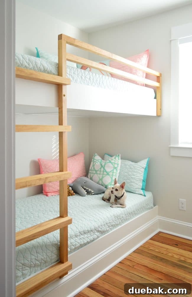 Constructing Bespoke Bunk Beds 3 Close-up shot of a DIY built-in wall-to-wall bunk bed with a cute chihuahua comfortably settled on the bottom bunk.
