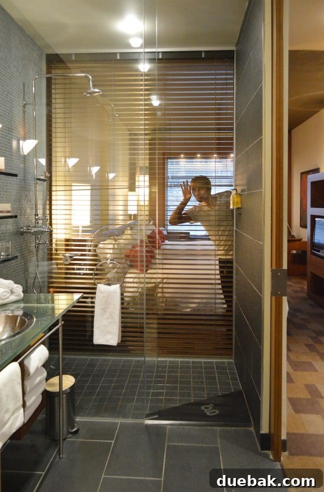 Toronto hotel bathroom with glass shower and external blinds