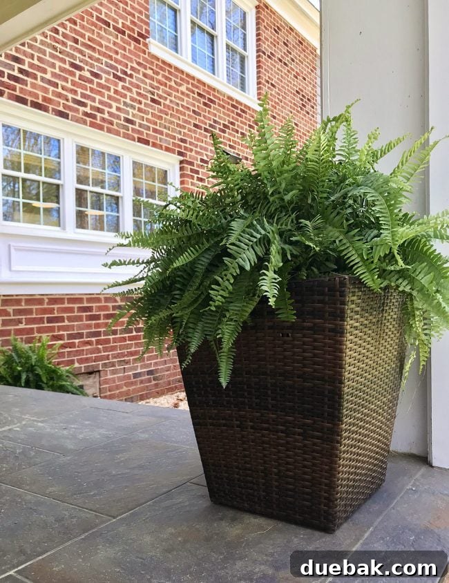 Our 30-Day Spending Detox 7 Outdoor patio area with large planters and greenery
