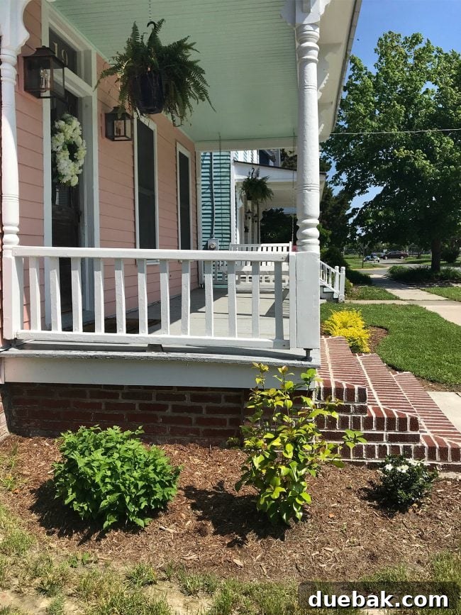 Instant Curb Appeal: Easy Garden Updates 11 Mystery bush on the left side of the beach house, showing remarkable regrowth from a stump.