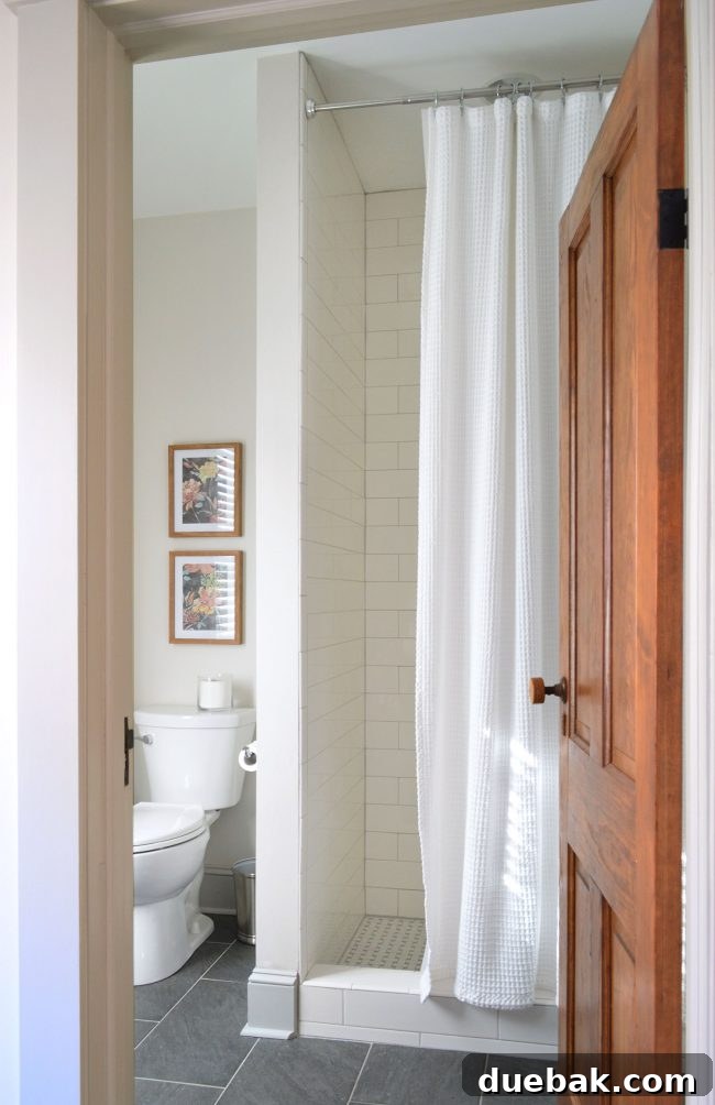Downstairs shower, showing a layout where accent tile would be more visible