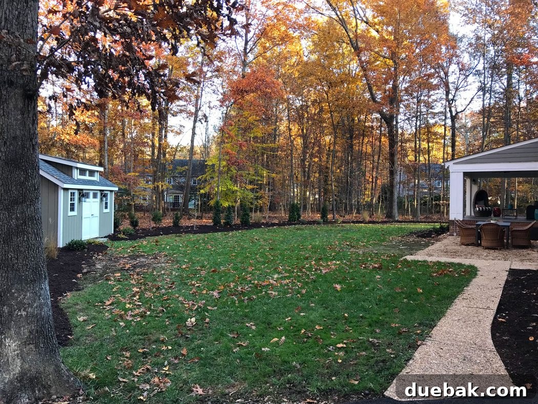 Out With the Deck, In With a Pea Gravel Patio 9 Our backyard in November after professional landscapers installed new privacy plants and ornamental trees.