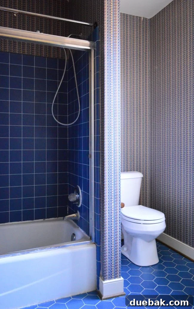 Our Bathroom Disaster 8 Before photo of an outdated bathroom, showing dark colors and old fixtures.