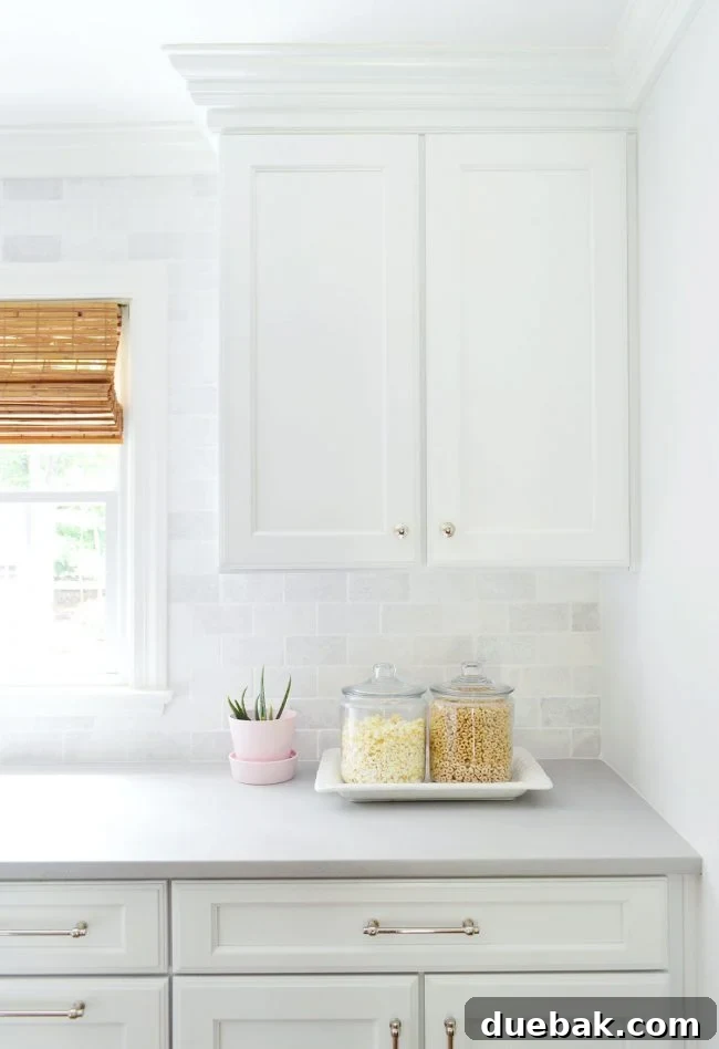 A decluttered kitchen counter after applying cozy minimalist principles, featuring a plant and functional, frequently used canisters, with ample clear workspace.