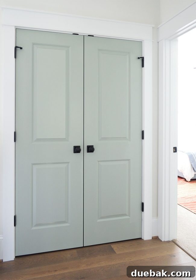 Interior doors painted in Sherwin Williams Oyster Bay, serving as a design focal point.