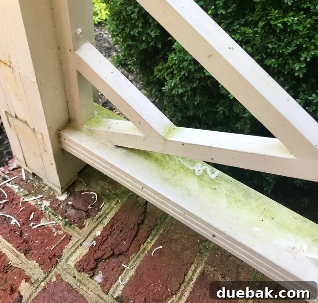 Close-up view of the original Chippendale railing attached to the porch, showing a painted-over screw that was part of its installation.