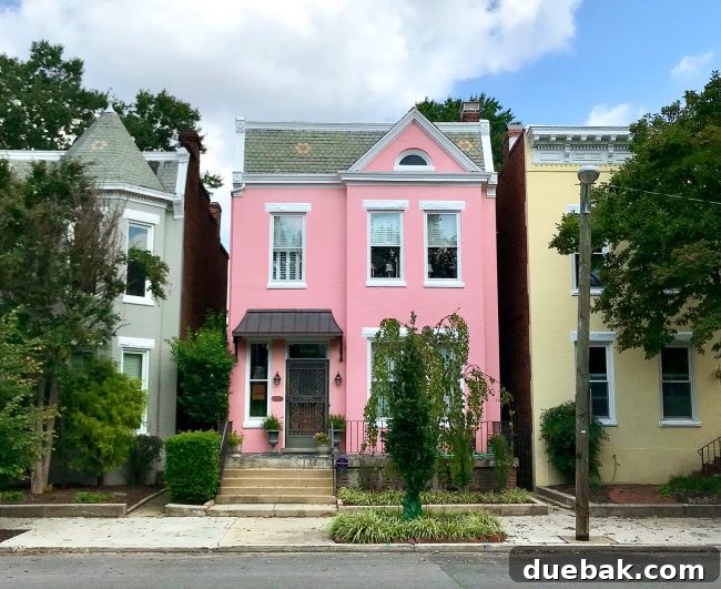 A charming brick row house with a prominent front door and architectural details, representing an inspiring property in an attractive neighborhood.