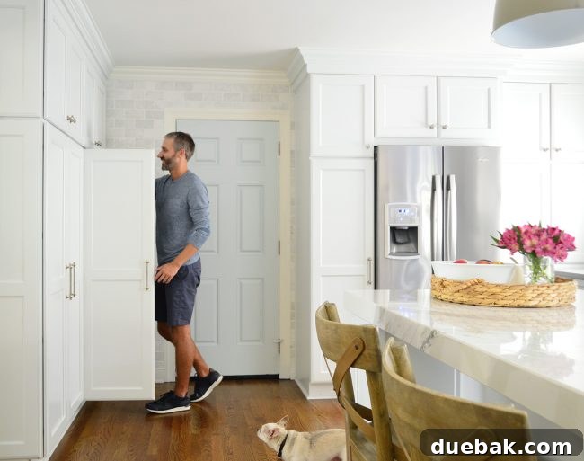 Optimize Your Mudroom Cabinet Storage 14 Burger the dog looking vigilant and concerned by the mudroom