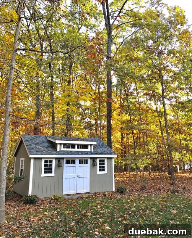 Beautiful outdoor autumn scene with some green foliage still visible.