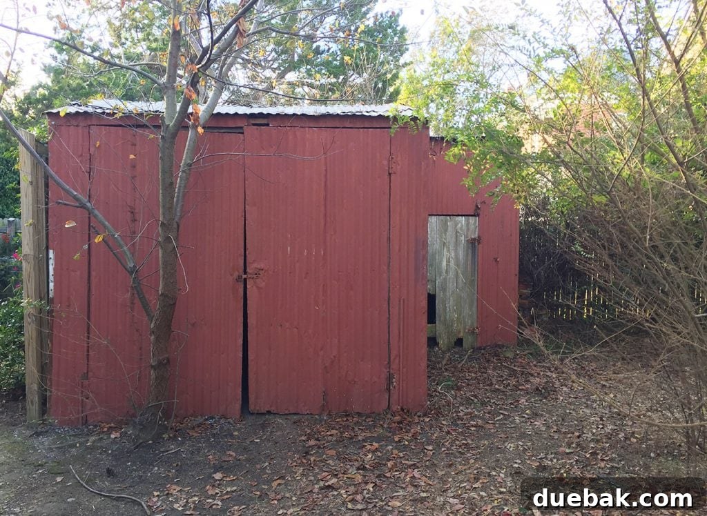Our Beach House Makeover: Upstairs Edition 34 Old, rusted shed in beach house backyard before renovation