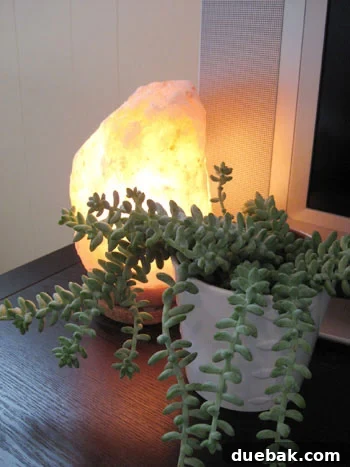 Himalayan Salt Lamp Negative Ions Air Purifier Home Decor