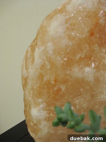 Gorgeously Green Inspired Salt Lamp Placement Stress Reduction