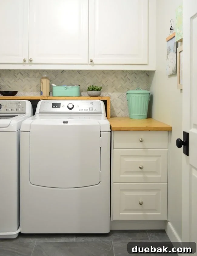 Design Choices Solely for Blog Content 10 A stunning 'after' photo of a renovated laundry room, showcasing a modern, functional, and aesthetically pleasing design.
