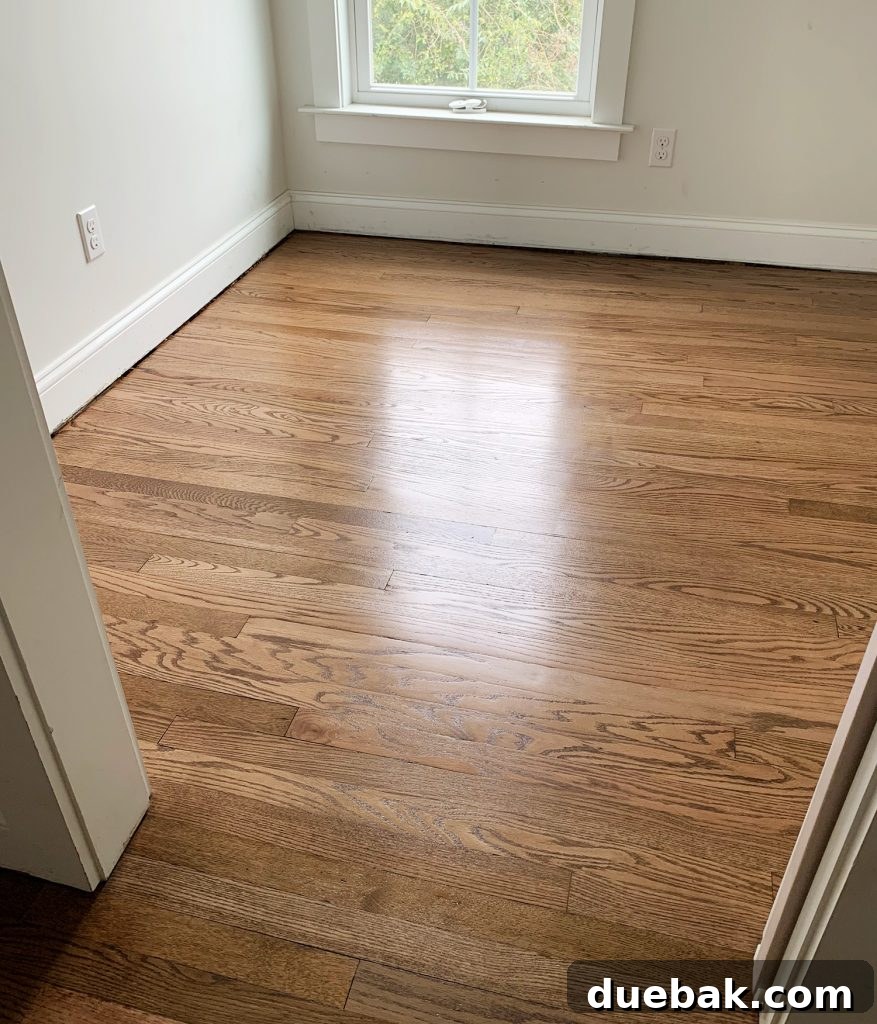 Reviving Oak and Pine Floors 11 The previously rotted floor section, now seamlessly repaired, sanded, stained, and sealed.
