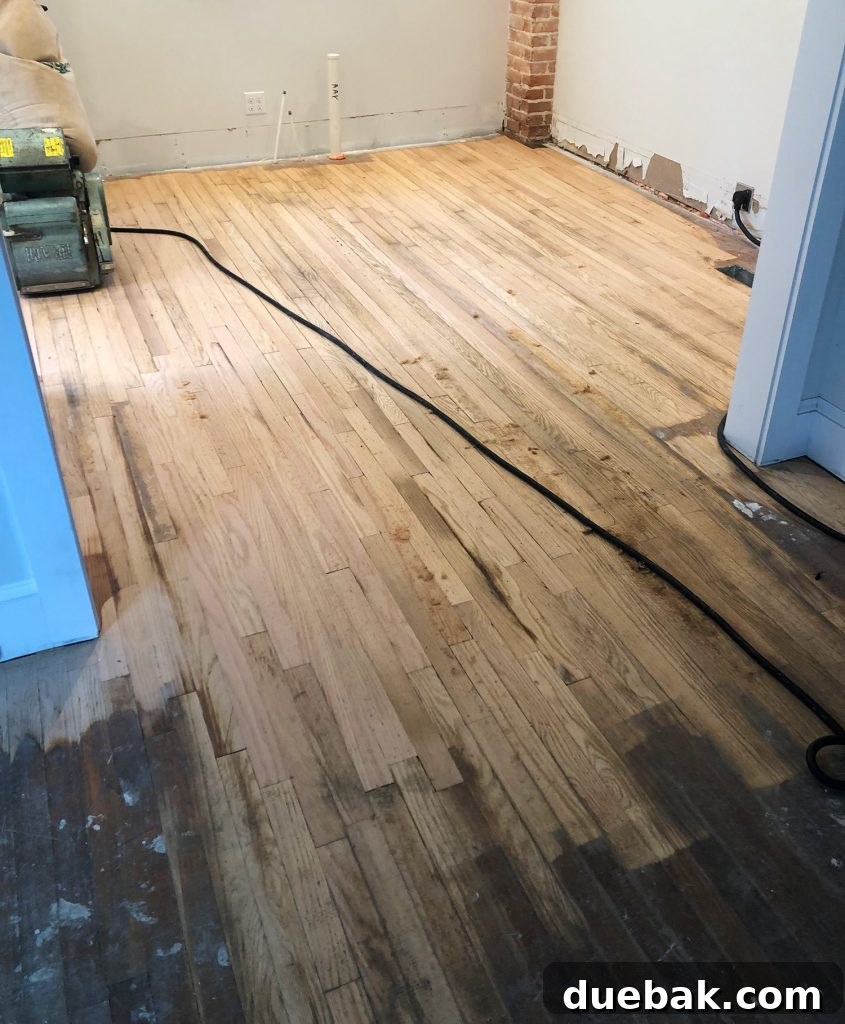 Reviving Oak and Pine Floors 14 Before staining, showing blotchy stains and color variations between different oak species on the sanded floor.