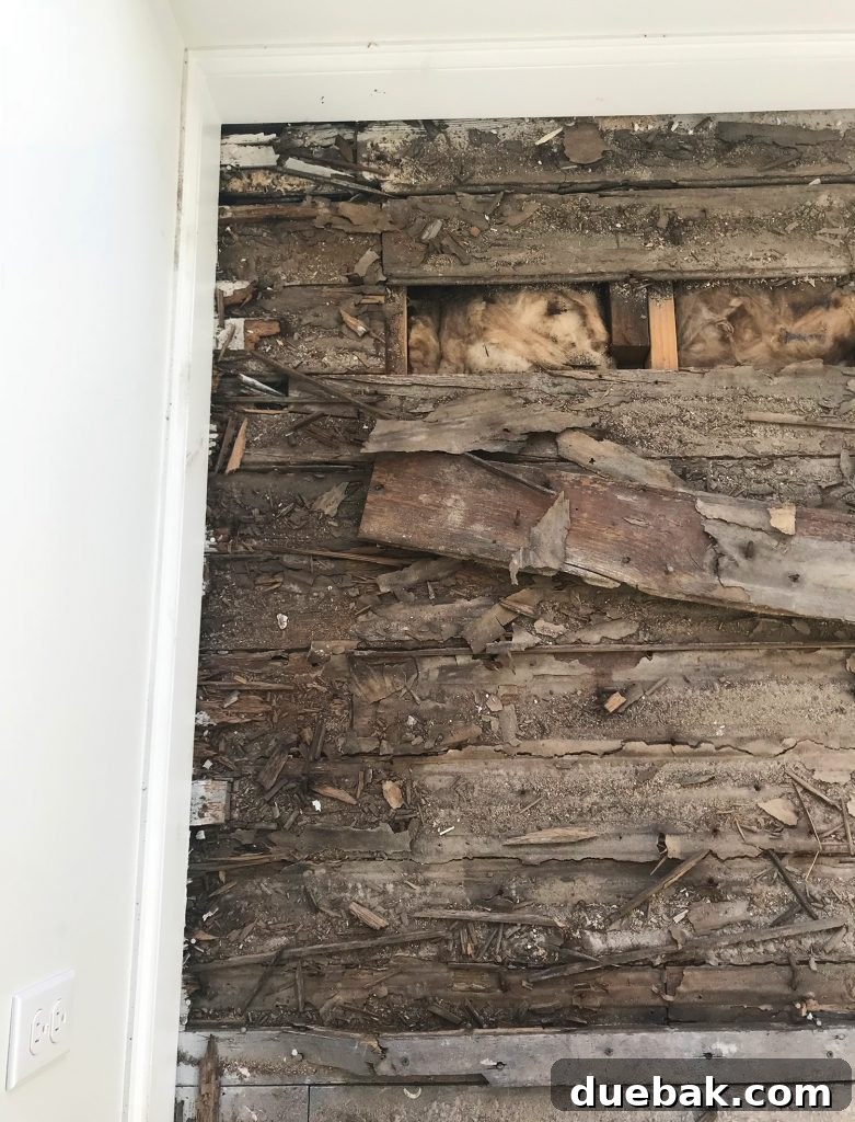 Reviving Oak and Pine Floors 8 Close-up of severely rotted and damaged hardwood floors in the duplex before repair.
