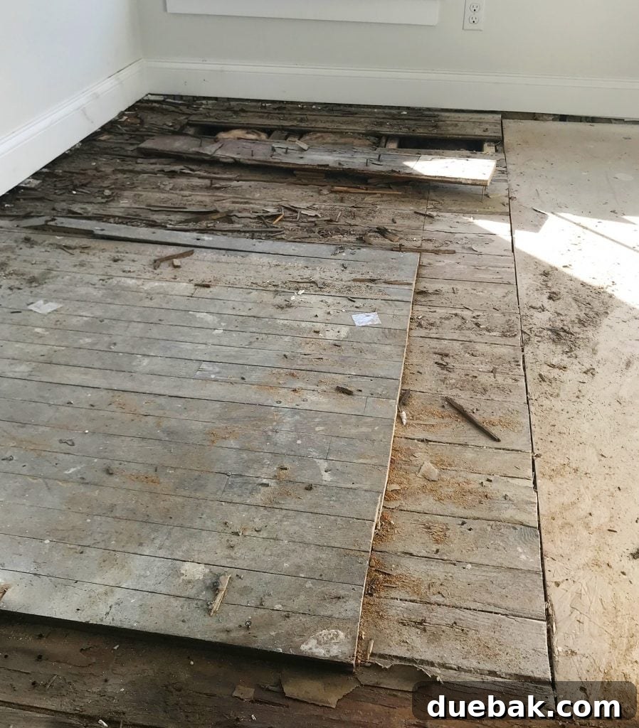 Reviving Oak and Pine Floors 9 Revealing two layers of flooring: original pine and newer oak, both heavily damaged by water rot.