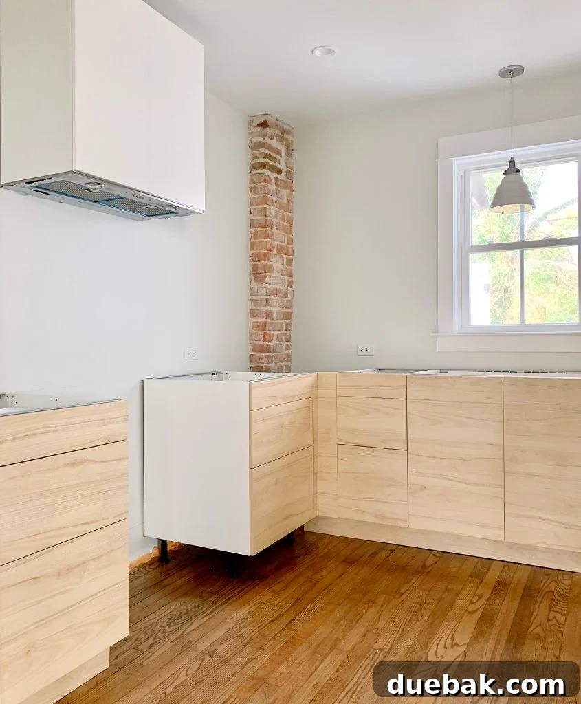 Right side duplex kitchen with Ikea cabinets and pendant light.