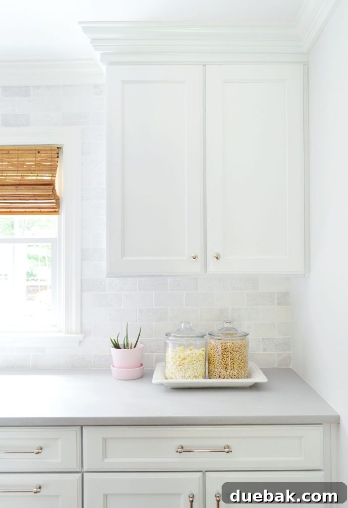 Real aloe plant in small pink plant on kitchen counter against marble backsplash