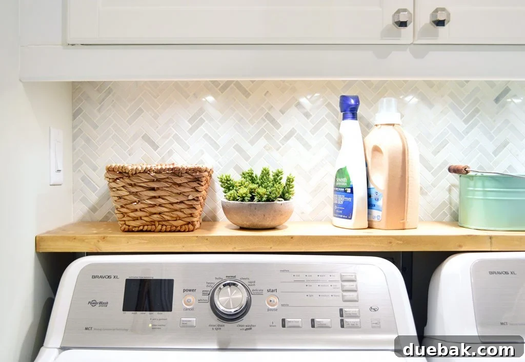 Laundry room shelf with faux succulent in cement pot