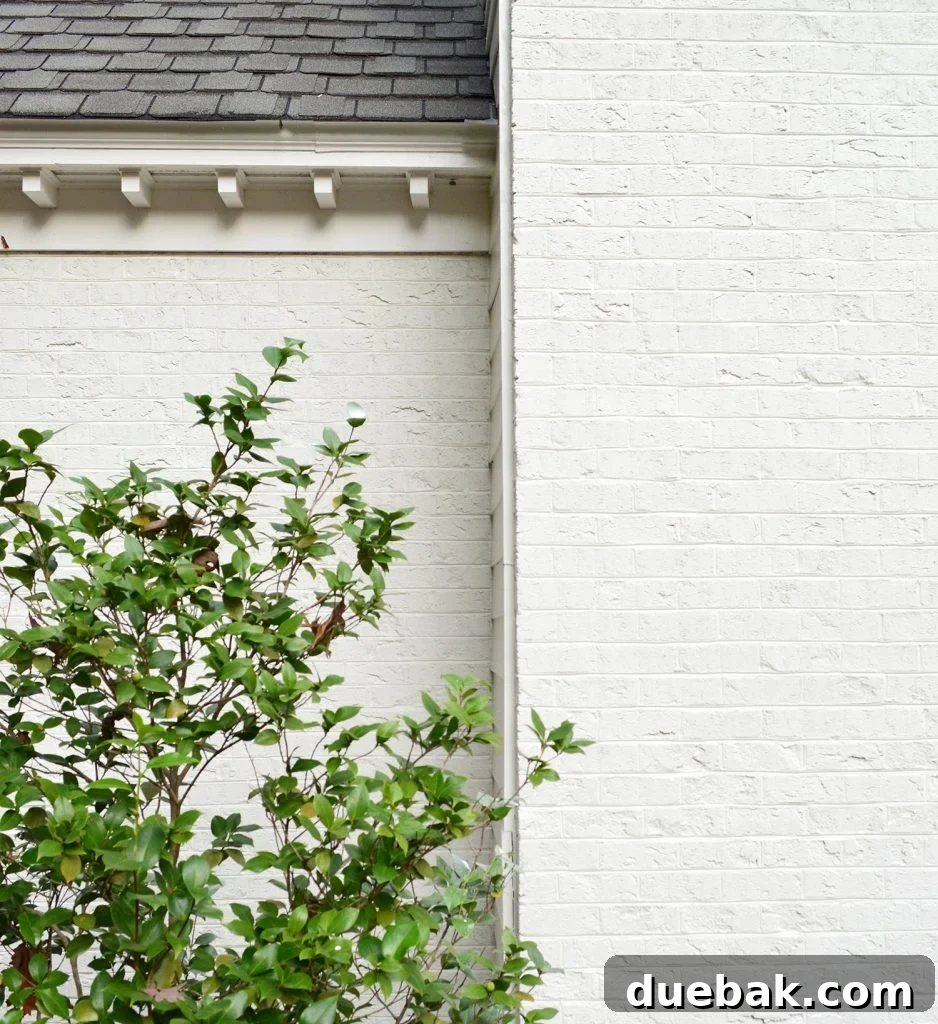 Close-up of a white painted brick wall showing the matte texture
