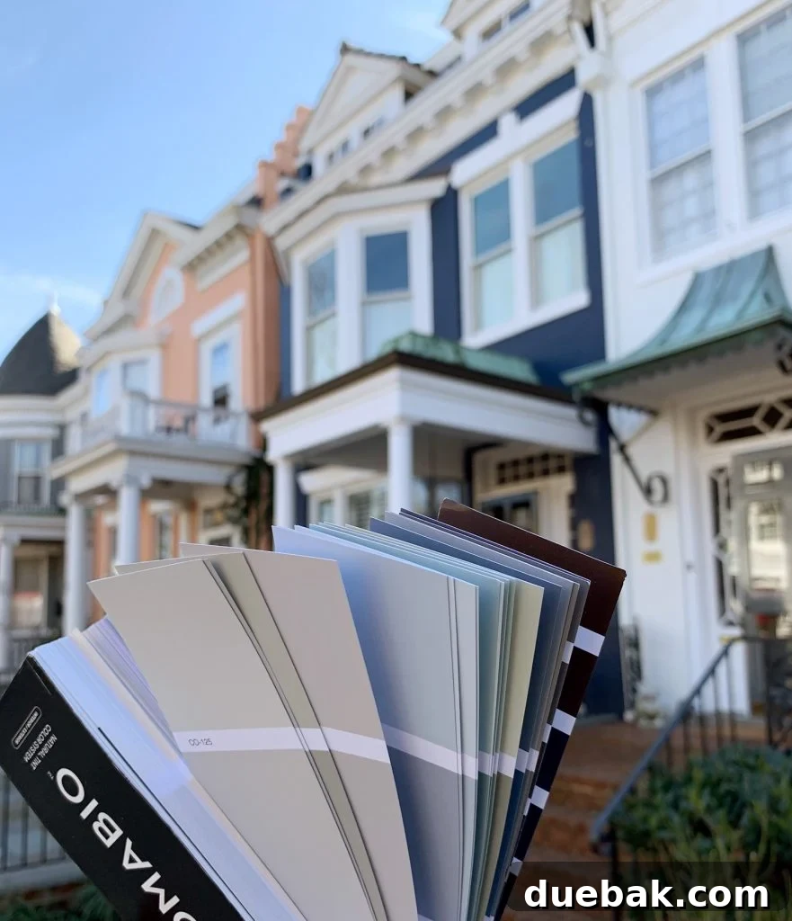 Close-up of exterior paint swatches on a white board