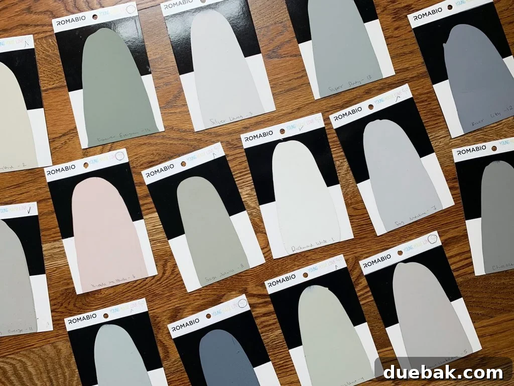 Close-up of Romabio paint swatches being held against a brick wall