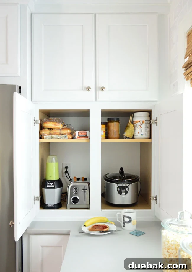 Infographic illustrating the top germiest places in the kitchen, with icons and statistics for each area.