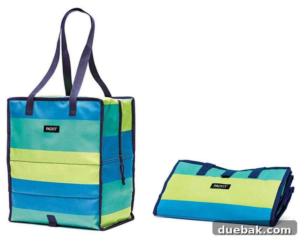 A freezable grocery bag and matching beach chairs, ready for a day out.