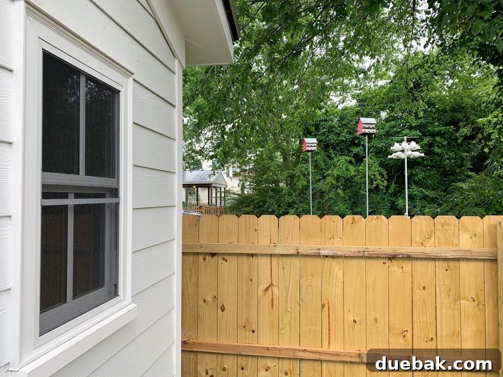 Home Design's White Elephants 2 Bird city behind a duplex fence, showing lush greenery that attracted the birds.