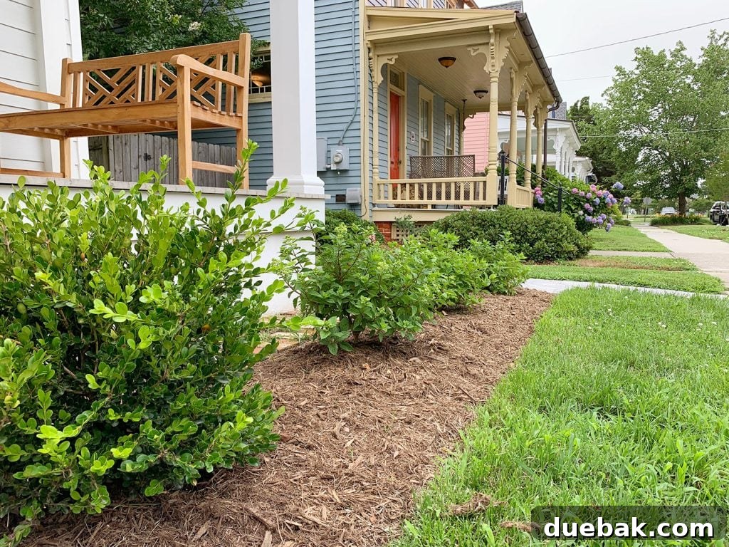 Close-up of freshly mulched garden beds in front of the duplex, showcasing how a fresh layer of mulch enhances the landscape's neatness and appeal.