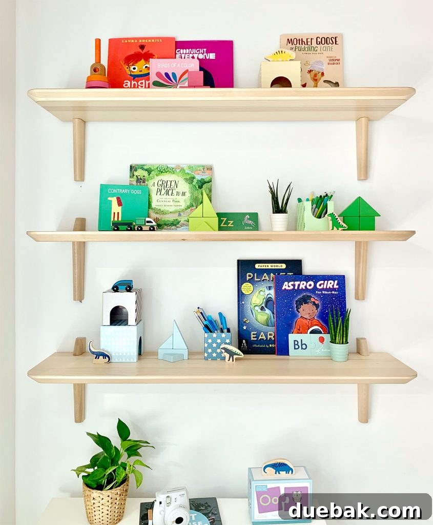 Real Simple Idea House Multipurpose Room Kids Closet Shelves