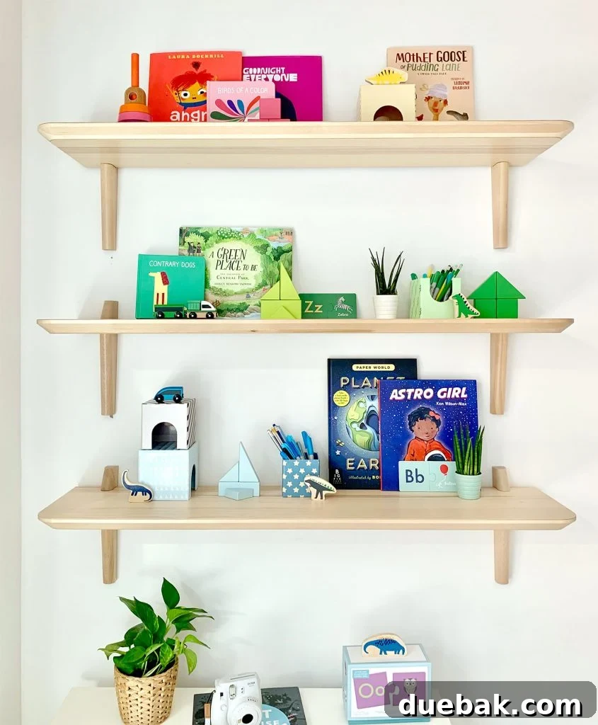 Real Simple Idea House Multipurpose Room Kids Closet Shelves with Color Coded Toys