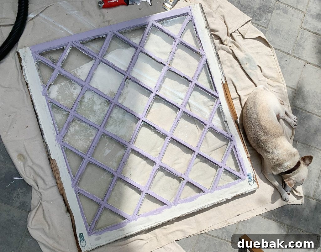 Old Diamond Paned Window With Dog Sleeping Next To It