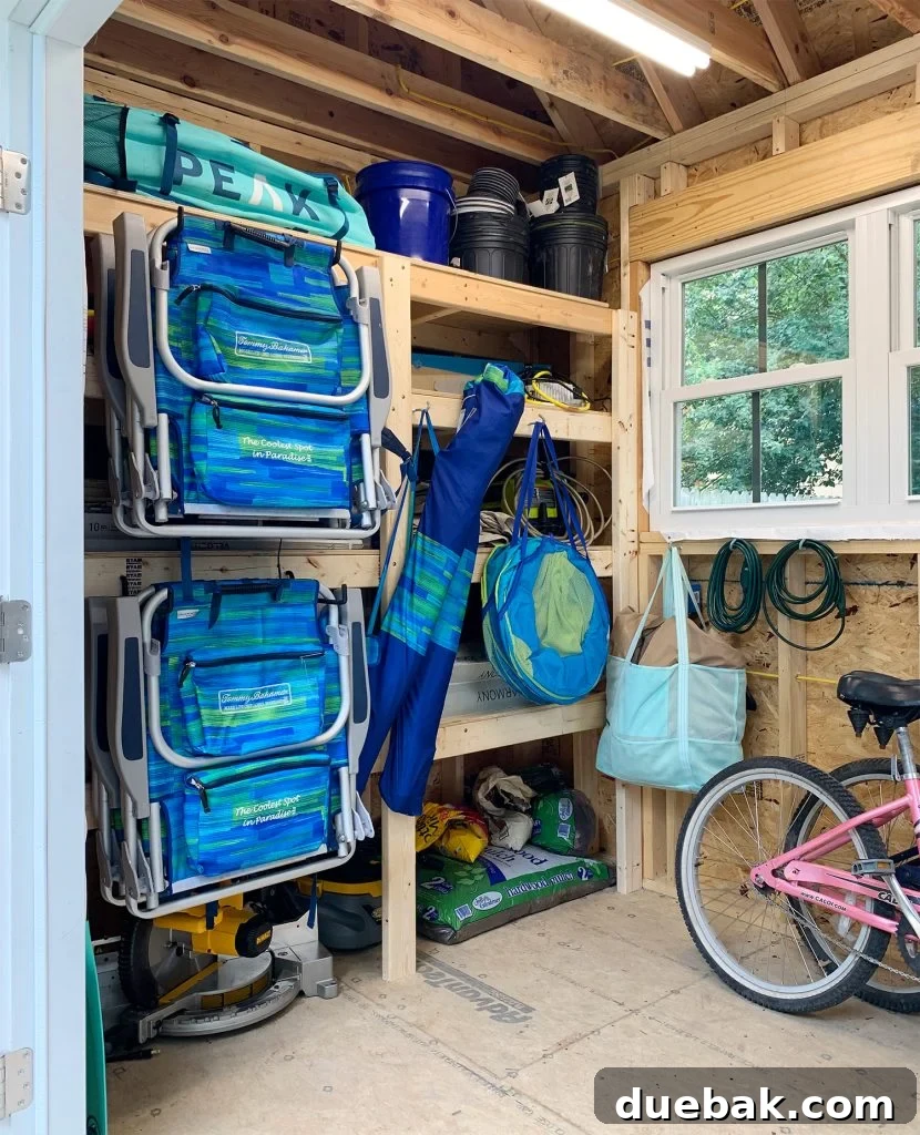 Taming the Beach House Shed 10 Close-up of the organized shed shelves with hooks on the front