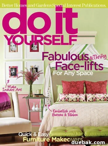 Do It Yourself Magazine Cover: Crafting Your Dream Home Do It Yourself magazine cover showcasing a creative home project