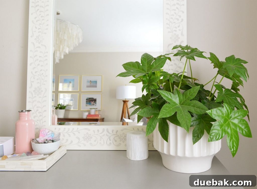 A large, healthy Philodendron plant in a decorative pot sits on the floor of a dining room, complementing the interior design.