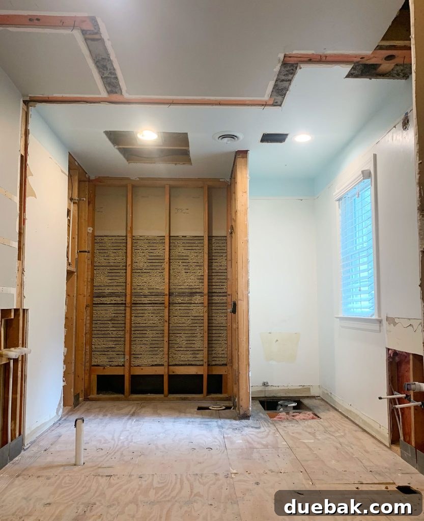 5 Ways to Keep Your Cool During Renovation 15 Bathroom During Demo With Walls Removed