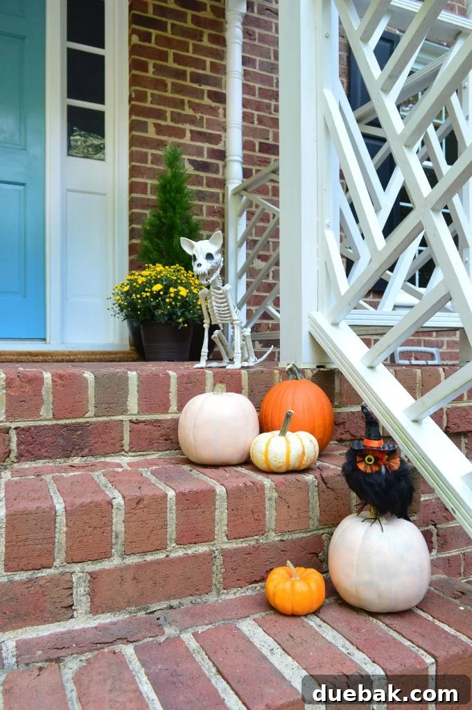 Turning Your Biggest Financial Dreams into Reality 2 Halloween Front Porch Decor Pumpkins Skeleton Owl