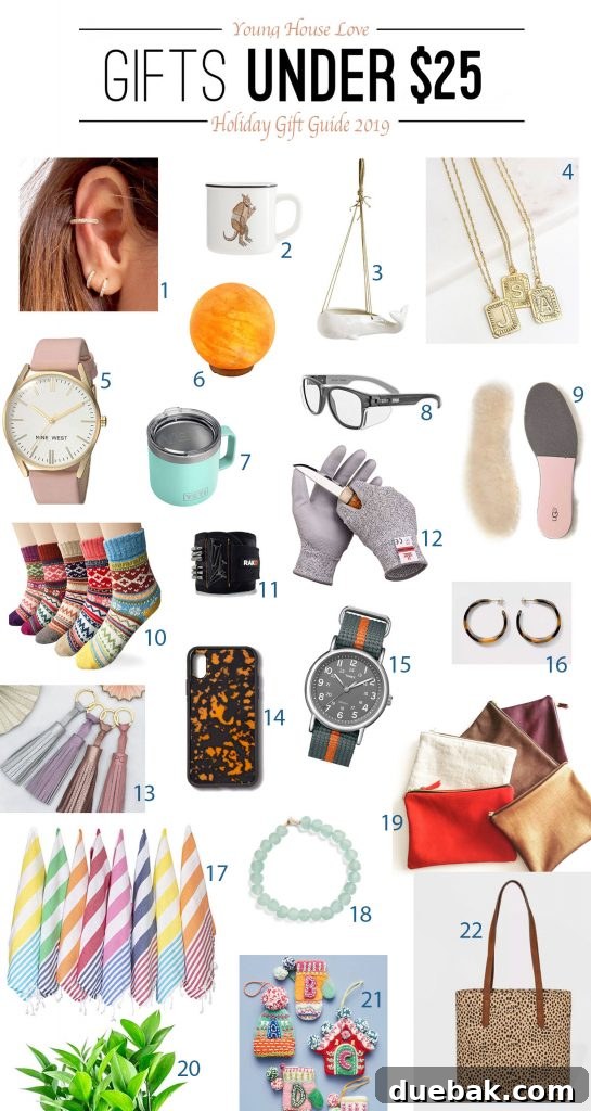 Selection of budget-friendly gift ideas under $25, including accessories, home items, and practical tools