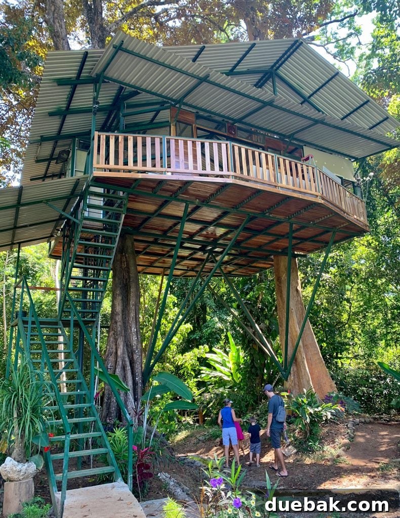Wild Wonders: Costa Rica Family Fun 17 Treehouse at Royal Butterfly Gardens In Costa Rica