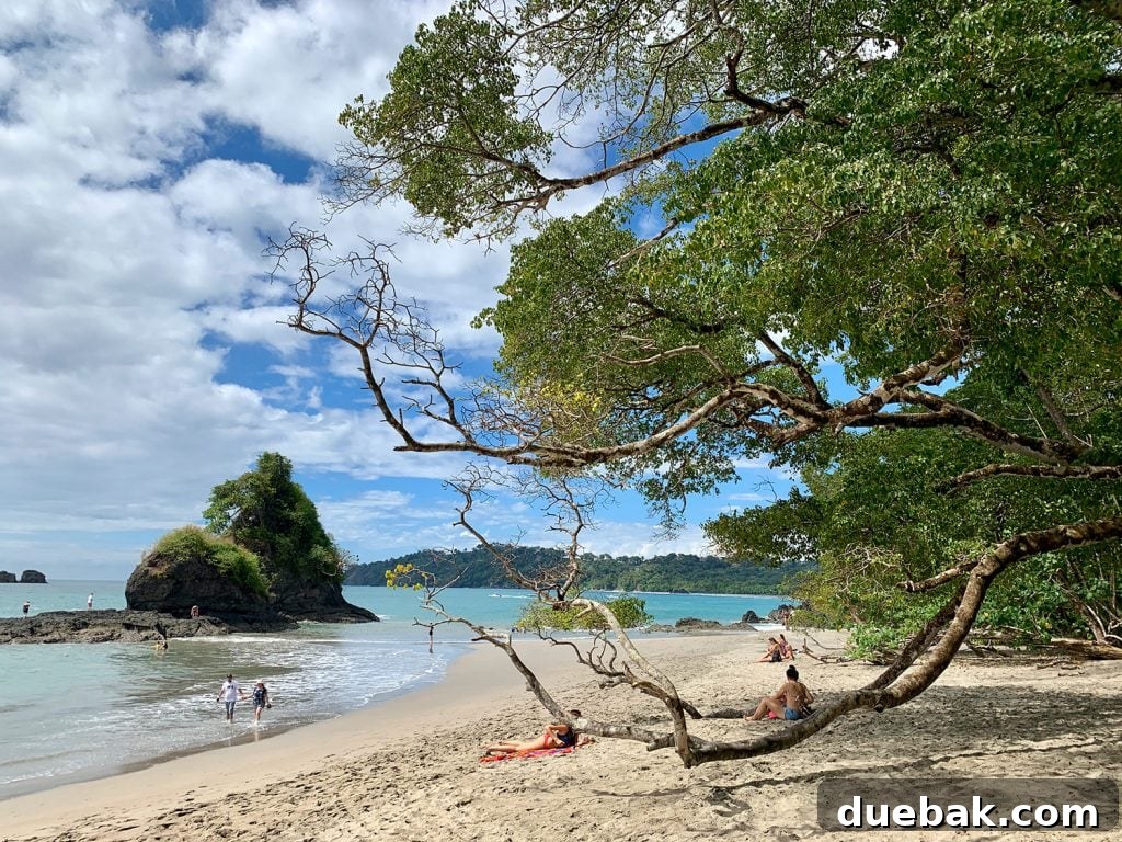 Wild Wonders: Costa Rica Family Fun 6 Tropical Beach In Manual Antonio National Park Costa Rica
