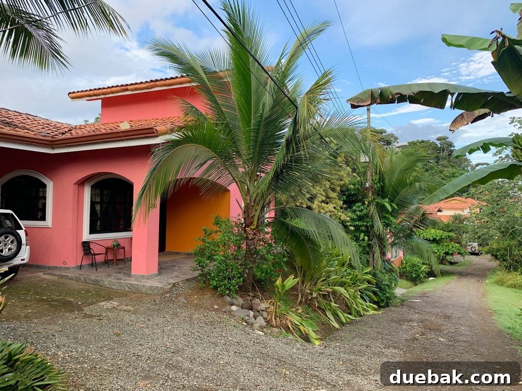 Wild Wonders: Costa Rica Family Fun 7 Colorful Airbnb On Dirt Road In Costa Rica