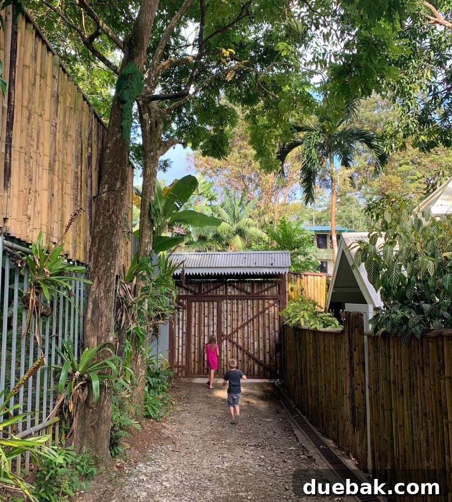 Wild Wonders: Costa Rica Family Fun 9 Young Kids Running Amongst Bamboo Fence In Costa Rica Airbnb